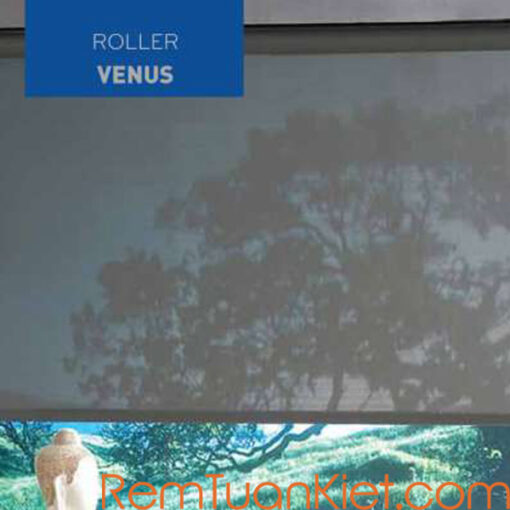 rèm cuốn CICI venus